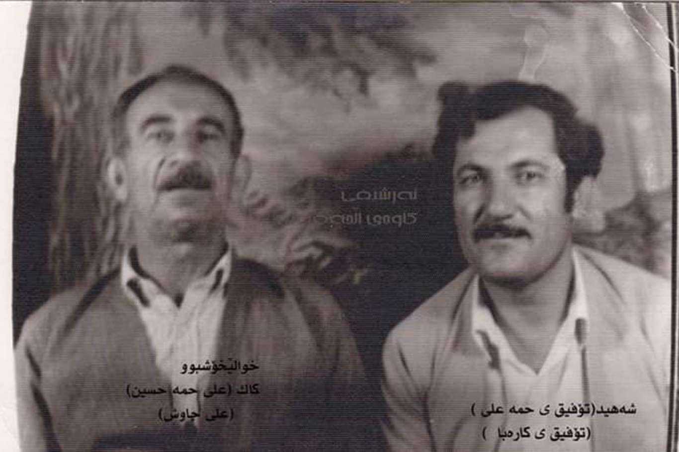 Tanıkların dilinden dinmeyen acı Halepçe Katliamı-1